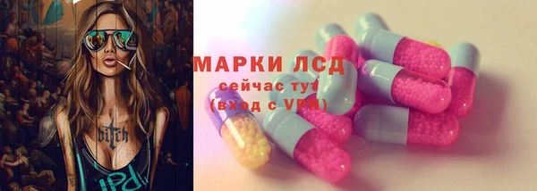 индика Лагань