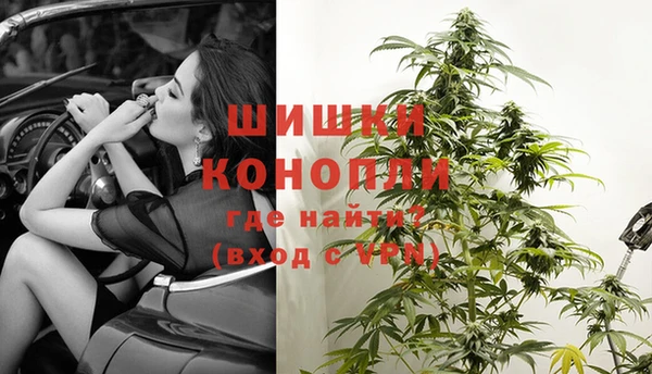 бошки Ладушкин