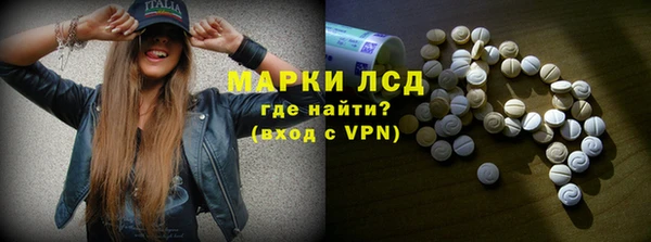индика Лагань